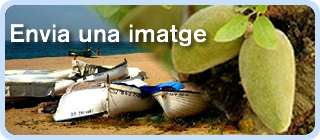 Envia una imatge