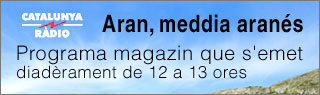Aran, meddia aran�s
