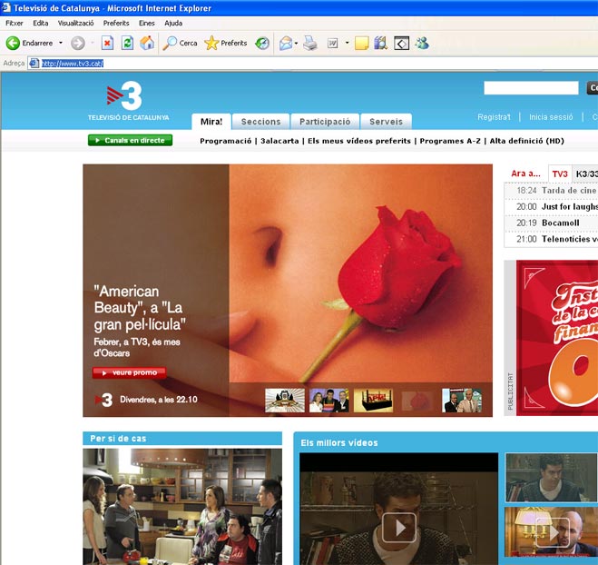 Pantalla on es mostra la instal&middot;laci&oacute; de l'Adoble Flash Player completada