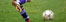 Lliga