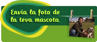 Envia la foto de la teva mascota