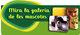 Mira la galeria de les mascotes