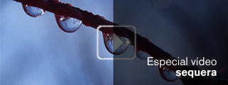 Especial sequera