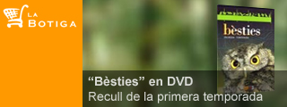El DVD del programa