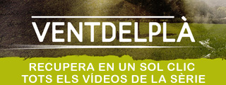 Tots els v�deos de Ventdelpla